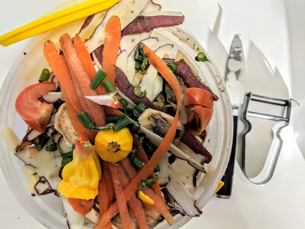 Food Safety